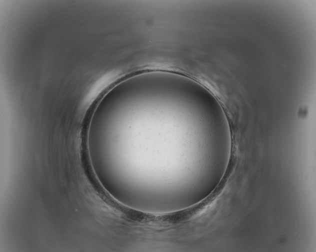 X0000092100199200709191314