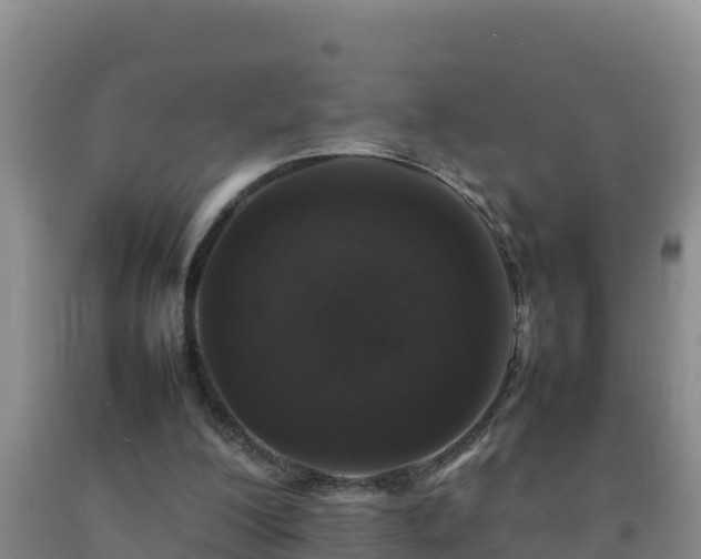 X0000092100200200709191314