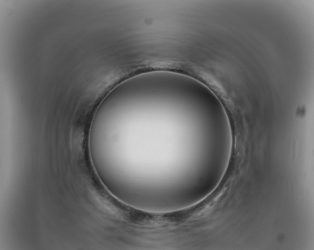 X0000092100201200709191314