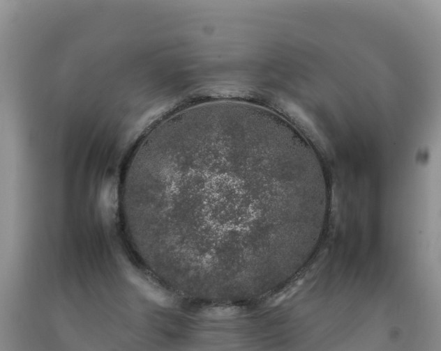 X0000092100202200709191314