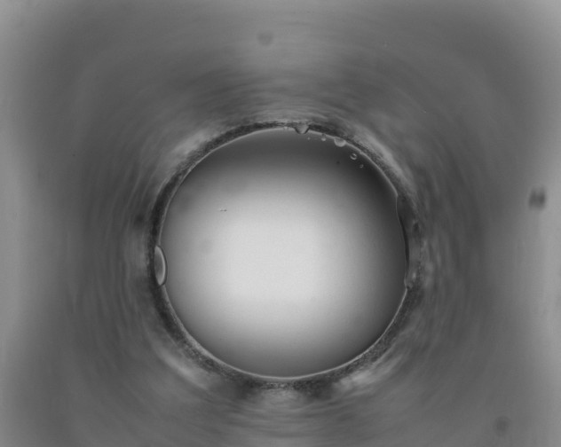 X0000092100203200709191314