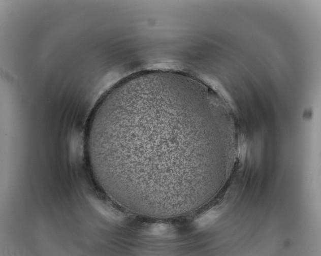 X0000092100204200709191314