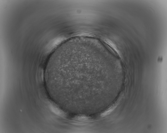 X0000092100205200709191314