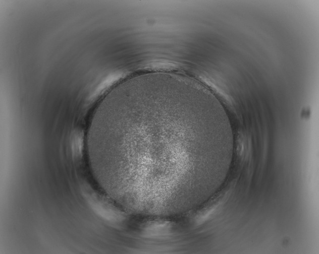 X0000092100206200709191314