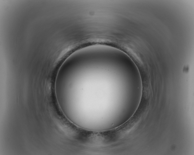 X0000092100207200709191314