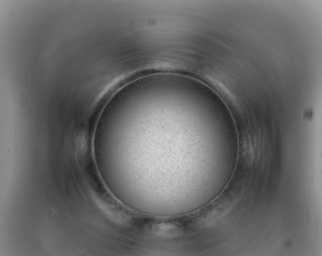 X0000092100208200709191314