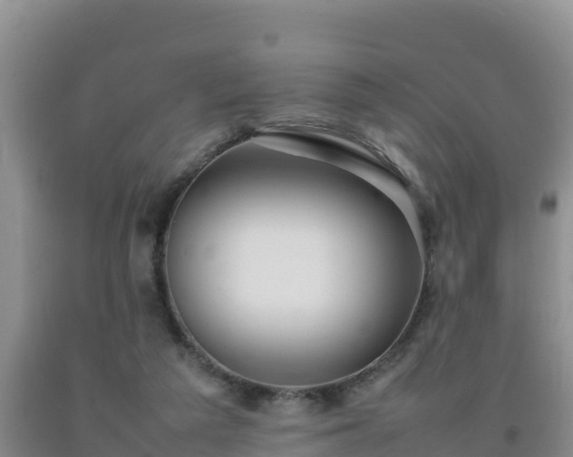 X0000092100209200709191314