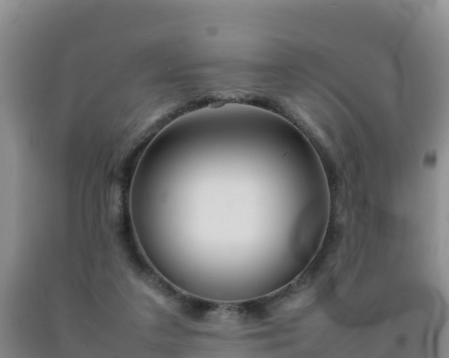 X0000092100211200709191314