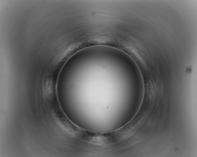 X0000092100212200709191314