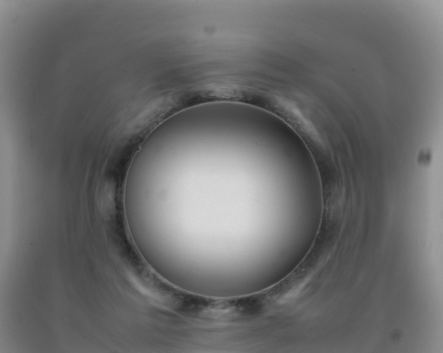 X0000092100213200709191314