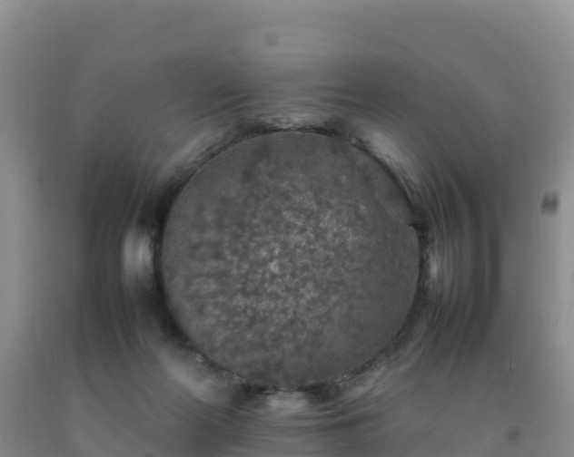 X0000092100214200709191314