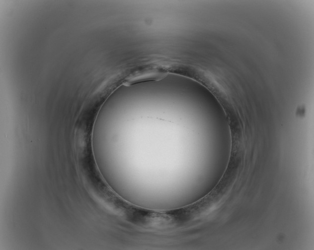 X0000092100215200709191314