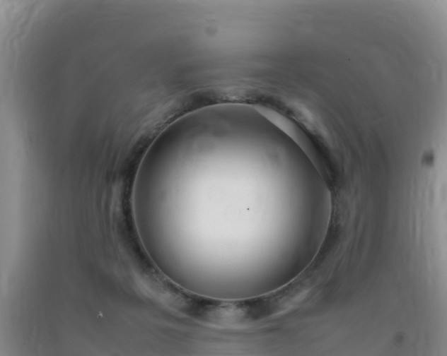 X0000092100217200709191314