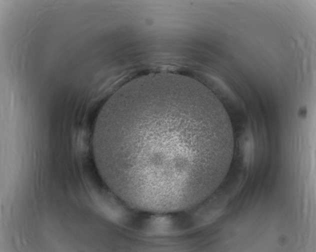 X0000092100218200709191314