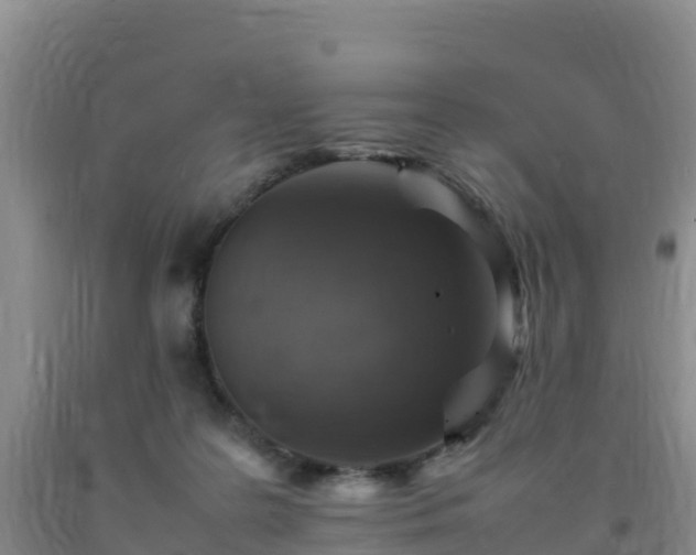 X0000092100219200709191314