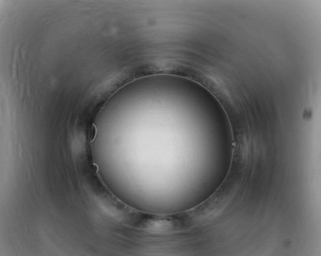 X0000092100220200709191314