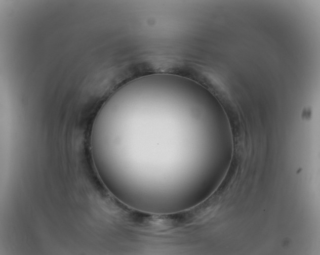 X0000092100221200709191313