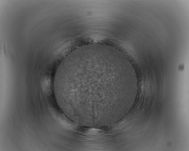 X0000092100222200709191313