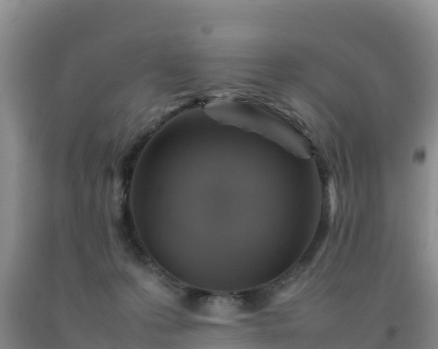 X0000092100223200709191313