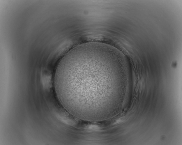 X0000092100224200709191313