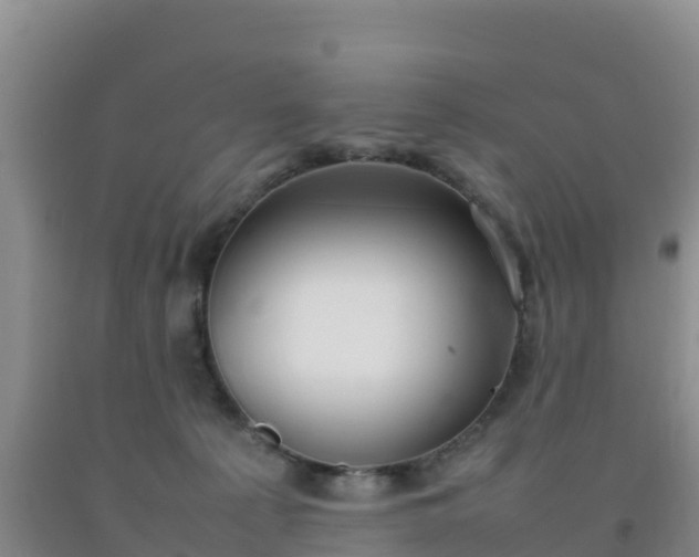 X0000092100225200709191313