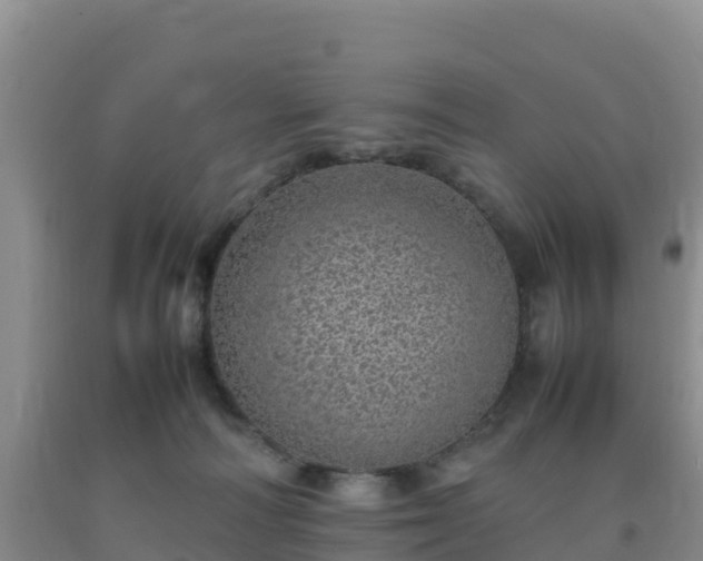 X0000092100226200709191313