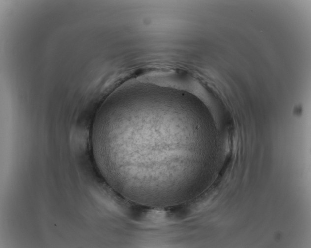 X0000092100227200709191313