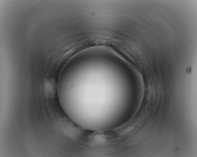 X0000092100228200709191313