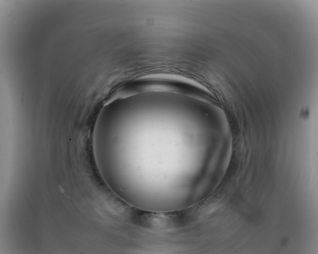 X0000092100229200709191313