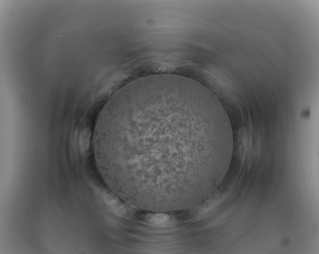 X0000092100230200709191313