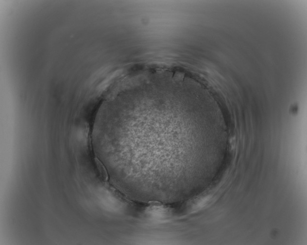 X0000092100231200709191313