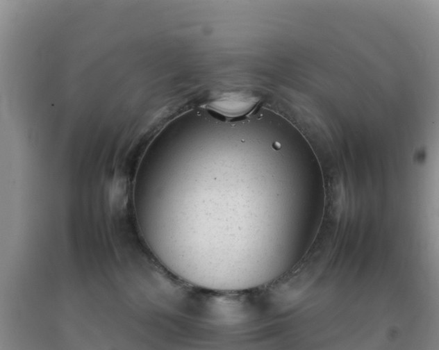 X0000092100232200709191313