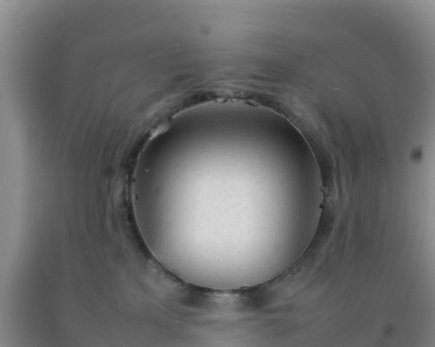 X0000092100233200709191313