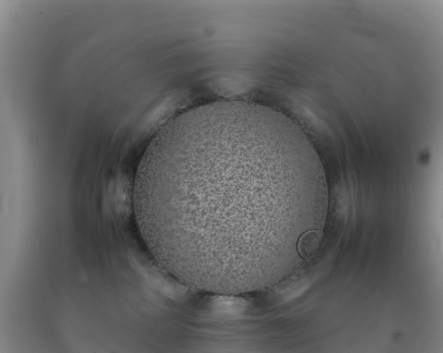 X0000092100234200709191313