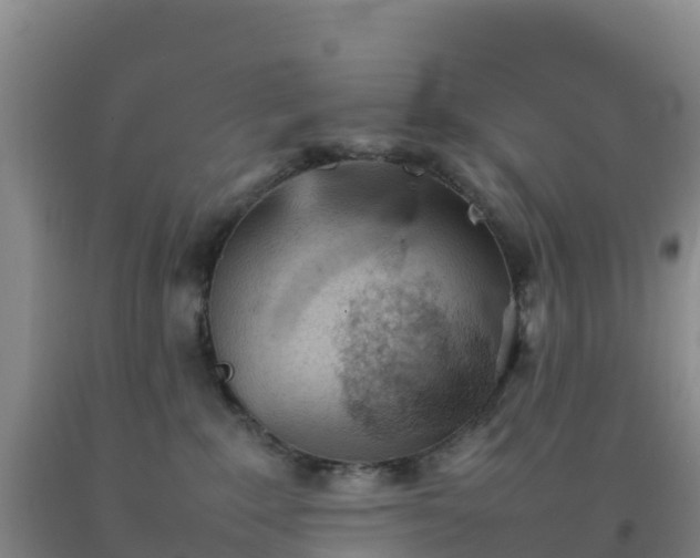 X0000092100235200709191313