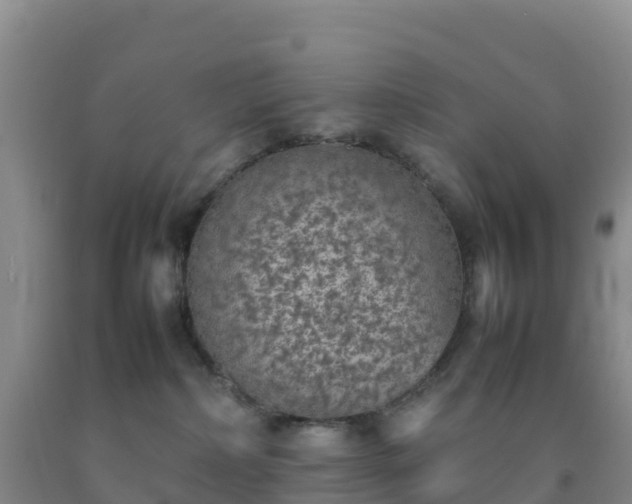 X0000092100236200709191313