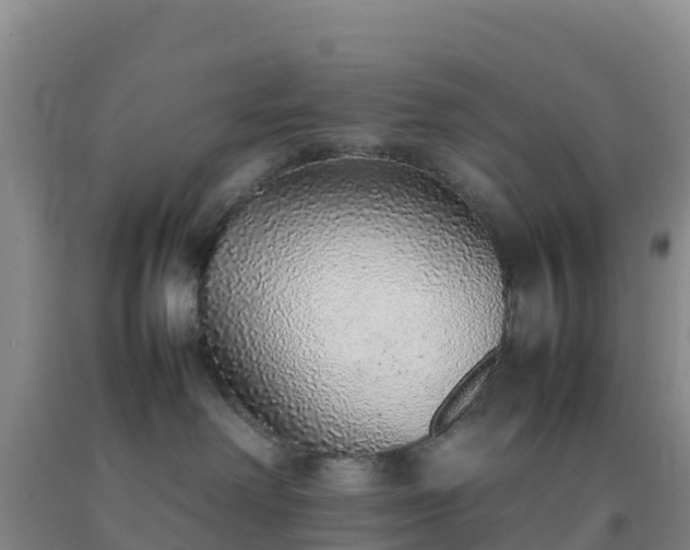 X0000092100238200709191313