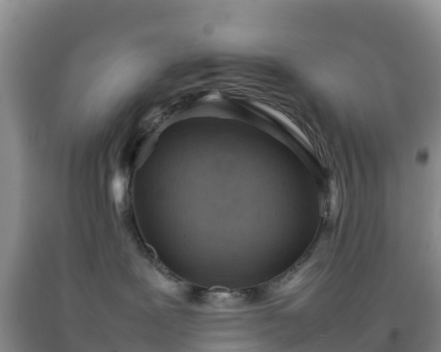 X0000092100239200709191313