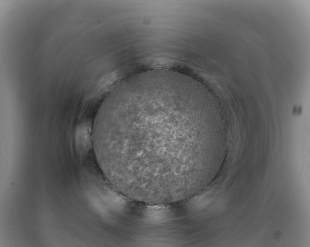 X0000092100240200709191313