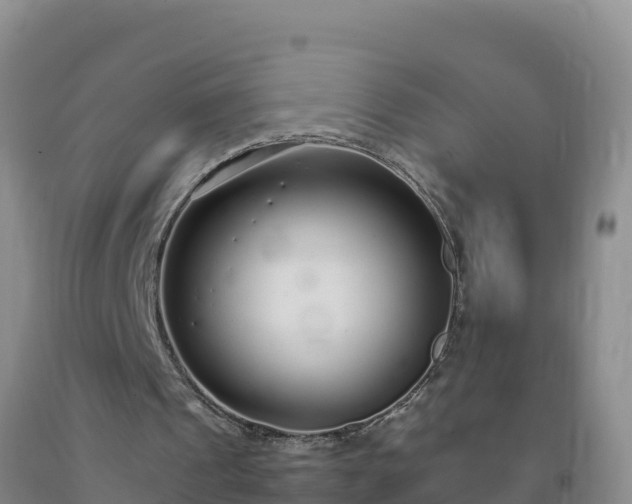 X0000092100241200709191313