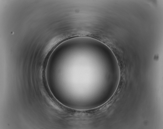 X0000092100242200709191313