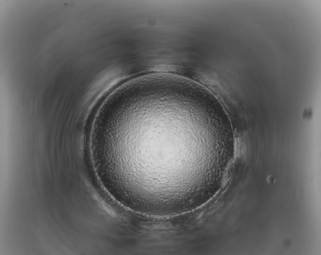 X0000092100243200709191313