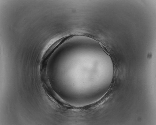 X0000092100244200709191313