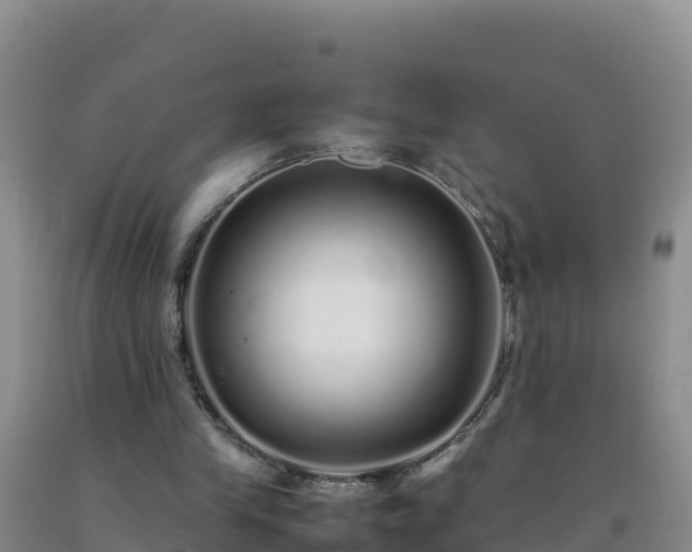 X0000092100245200709191313