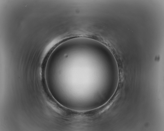 X0000092100246200709191313