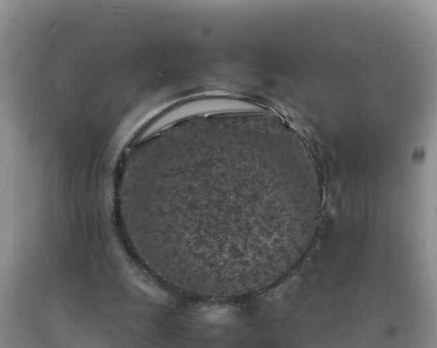 X0000092100247200709191313