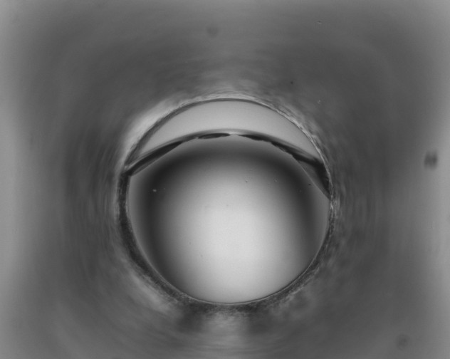 X0000092100248200709191313