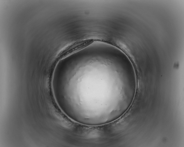 X0000092100249200709191313