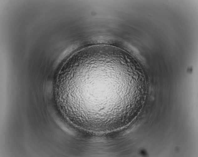 X0000092100250200709191313