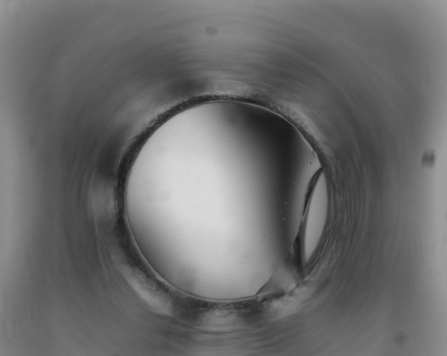 X0000092100252200709191313